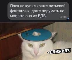 Подборка картинок. Вечерний выпуск - 09.02.2022 - Всяко.нет