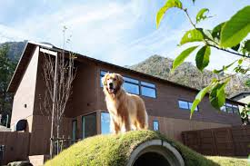 1115 箱根強羅にペットと泊まれるバケーションレンタル「ASNOVA RESORT／FOLQ HAKONE  GORA」開業｜HACOODA（ハコーダ）