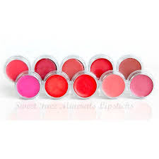 lipstick kit lipkit mineral makeup lip gloss liner long lasting waterproof bare skin cover powder lovely