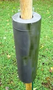 Bird Feeder Pole With Baffle Bird Feeder Baffles And Bird House Pole Predator Guards Deter Squirrels Raccoons Snakes From Climbing Raiding Feeding Nesting Sites Squirrel Proof Bird Feeders Bird Feeder Baffle Bird Feeder Poles