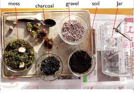 21 Simple Ideas For Adorable Diy Terrariums How To Make Terrariums Terrarium Diy Terrarium
