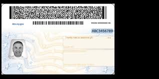 Maybe you would like to learn more about one of these? What Is My New York Document Id Number Cleared To Drive