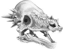 Pachycephalosaurus Skull By E Pona D8zk4a0 Png 1016 786 Skull Skull Drawing Lion Sculpture