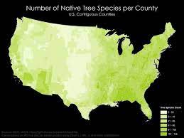 Non Native Plant Species In North American Forests Vivid Maps Plant Species Species Native Plants