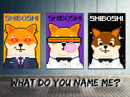 Everything You Need To Know About Shiba Inu S Upcoming Nft Drop