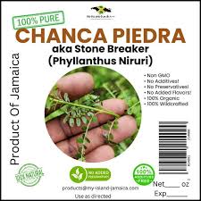 Image result for Phyllanthus nyikae