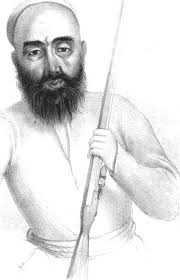 Travels in Kashmir, Ladak, Iskardo, the countries adjoining the  mountain-course of the Indus, and the Himalaya, north of the Pan