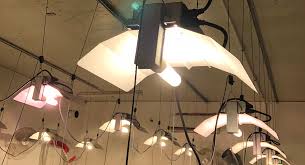 We did not find results for: Cmh Grow Lights Grozinegrozine