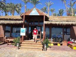 Good availability and great rates. Pool Area Picture Of Camel Dive Club Hotel Sharm El Sheikh Tripadvisor