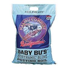 Which is the best organic compost for raised beds? Malibu Compost Baby Bu S Port Townsend Garden Center