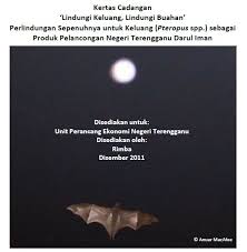 We did not find results for: Special Update Terengganu Protects Flying Foxes Rimba
