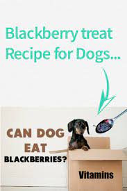 Best Blackberry Recipe For Dogs Can Dogs Eat Dog Eating Best Dog Food