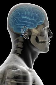 The most common symptom from a thyroid goiter is a lump in the neck. Head And Neck Growths Lumps Cancer Allergy Ent Of Texas