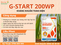 G-start 200WP