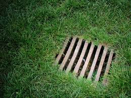 Entdecke jetzt innovative lösungen für perfekt bewässerte rasenflächen, hecken, beete und pflanzen! Regenwasserversickerung Im Garten Die Optionen
