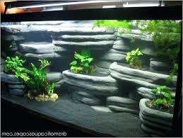Cool Aquarium Ideas Full Size Of Cool Ideas For A Fish Tank Cool Fish Tank Ideas Large Size Of Cool Ideas For A Fresh Water Fish Tank Cool Fish Tanks Fish