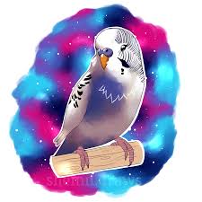 Space Budgie Drawing Budgies Easy guide 'how to draw' from artistro! reddit