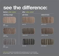 Redken Professional Color Camo Shade Charts Blending That