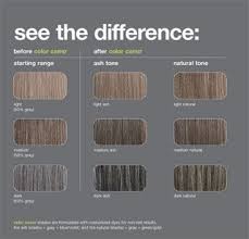 redken professional color camo shade charts blending that