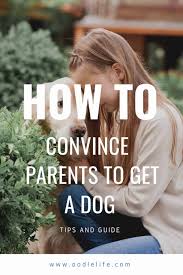 What's the best way to get a puppy? 7 Tips On How To Convince Your Parents To Get A Dog