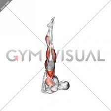 Extend one leg and carefully lower it down in front of your body as you shift your weight into your palms. Shoulder Stand Yoga Pose