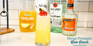 Shake well and strain into a collins glass over ice cubes. Mango Pineapple Rum Punch Hawaiian Rum Cocktail