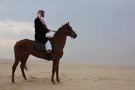 للخيل راكب واطي ب الخيـل مركـوب شـب السحـاب ودنقـن المراق Flickr