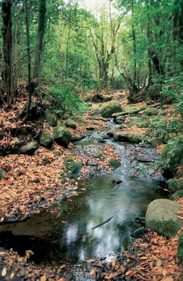 Ruta de los Tres Monts (tramo inicial): Senderismo Escénico Cerca de Barcelona