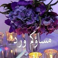 مساء الحب والجمال مساء الخير والدلال مساءكم عطر ريحانه مساء الورد والوانه يسعد مساءكم بكل خير ي good evening greetings evening greetings beautiful rose flowers