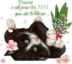 images?q=tbn:ANd9GcQG7bWq0N_I1aLuraPZyAr