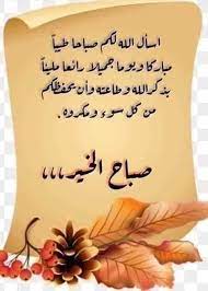 الجواهر في الناس لا في الحجر والنور في القلب لا في العينين والعز في القناعه لا في المال وا beautiful morning messages good morning cards good morning wishes