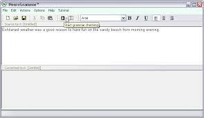 Neurogrammar This Grammar Checker Works