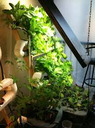 homemade vertical hydroponics systems