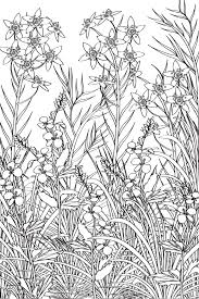 Coloring Page Flowers And Plants For Meditation Coloring Page Printable Coloring Relaxing Ant Coloring Pages Black And White Drawing Garden Coloring Pages