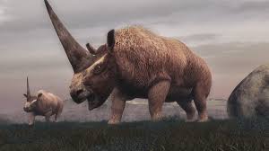 These powerful beasts get their strength from stocky muscles and keratinized body armor instead of rainbows and magic, but they're the only unicorns we've got. How A Change In Climate Wiped Out The Siberian Unicorn