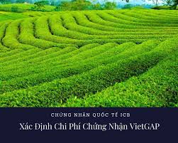Báo Giá Chi Phí Đánh Giá Chứng Nhận VietGAP - ICB