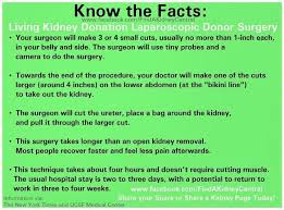 Living Kidney Donor Organ Donation Info Collected Prior To Give My Kidney To Partner On The 14th Of Living Kidney Donor Living Kidney Donation Kidney Donor