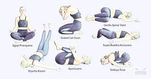There are different kinds of yoga poses to work on different areas. 7 Gentle Yoga Poses To Fix Stomach Pain Paleohacks