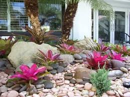 Gardening In South Florida Bromeliads In The Garden Tropical Backyard Landscaping Florida Landscaping Tropical Landscaping