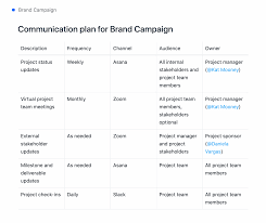 How To Write An Effective Communication Plan [2022] • Asana