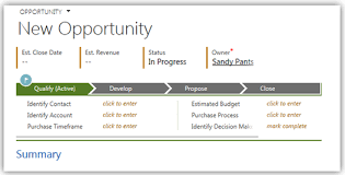 microsoft dynamics crm 2015 business process flow