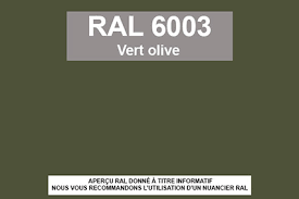 Peinture Ral Nuancier Ral 6003 Vert Olive