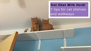 The other end just sits on a paver. 7 Tips For Diy Cat Shelves And Walkways Cat Chat With Heidi Youtube