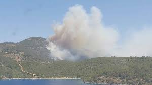 We did not find results for: Mugla Daki Yangin Kontrol Altina Alindi Son Dakika Haberleri