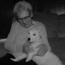 At fairview, we understand how difficult this time is for you, and our trained and sympathetic veterinary staff will do everything we at cats & critters, we are committed to caring for your pet at every age. Rochester Center For Pet Grief And Loss