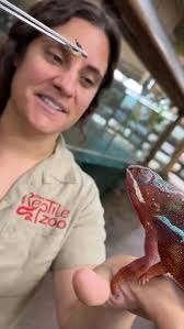 Got to experience some new animals for at San Antonio Zoo, and this is  definitely one of my favorite parts of the job🙌😁