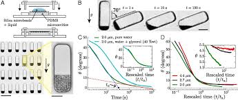 We did not find results for: Gravisensors In Plant Cells Behave Like An Active Granular Liquid Pnas