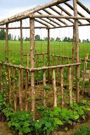 Amazing Vertical Gardening Ideas Family Food Garden In 2021 Vertical Garden Garden Planning Garden Design