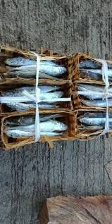 Distribusi ikan layang mencakup nelayan, pedagang besar, pengolah. Pindang Layang Dan Salem Home Facebook