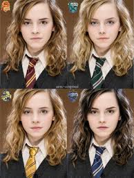 Sense Sensibility Harry Potter Hermione Granger Harry Potter Hermione Harry Potter Facts